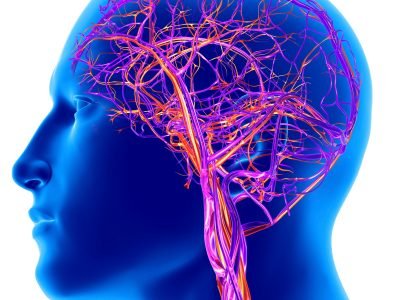 Diabetes and Brain Health | Diabetes Effects on the Brain | SND Multispeciality Hospital