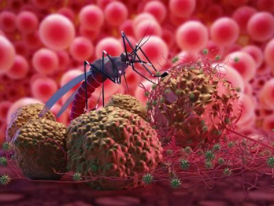 Malaria: Symptoms, Causes, Treatment & Prevention | SND Multispeciality Hospital